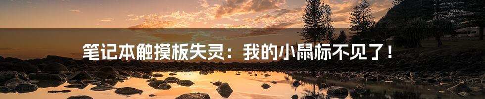 笔记本触摸板失灵:我的小鼠标不见了!