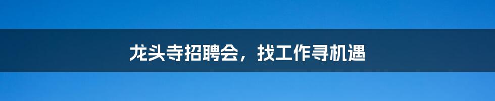 龙头寺招聘会,找工作寻机遇