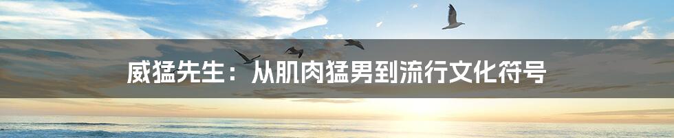 威猛先生：从肌肉猛男到流行文化符号
