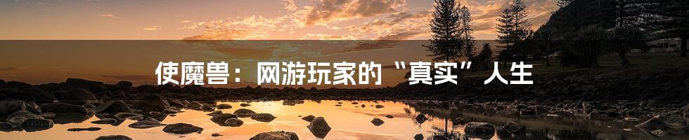 使魔兽:网游玩家的“真实”人生