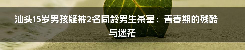 汕头15岁男孩疑被2名同龄男生杀害:青春期的残酷与迷茫