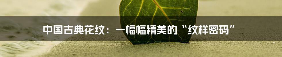 中国古典花纹:一幅幅精美的“纹样密码”