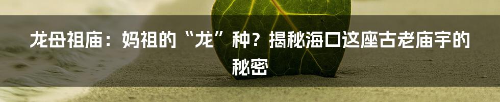 龙母祖庙:妈祖的“龙”种?揭秘海口这座古老庙宇的秘密