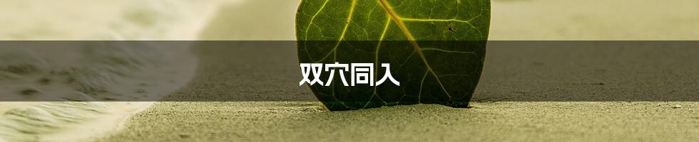 双穴同入