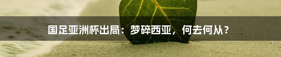 国足亚洲杯出局:梦碎西亚,何去何从?