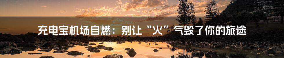 充电宝机场自燃:别让“火”气毁了你的旅途