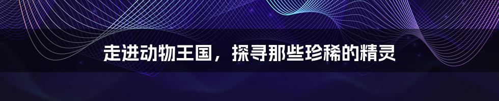 走进动物王国,探寻那些珍稀的精灵