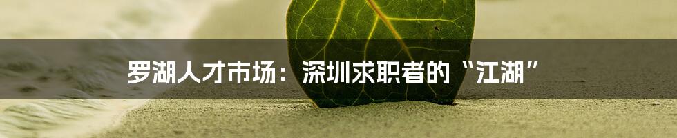 罗湖人才市场:深圳求职者的“江湖”