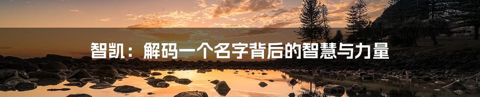 智凯:解码一个名字背后的智慧与力量