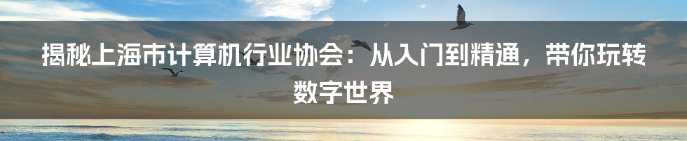 揭秘上海市计算机行业协会:从入门到精通,带你玩转数字世界