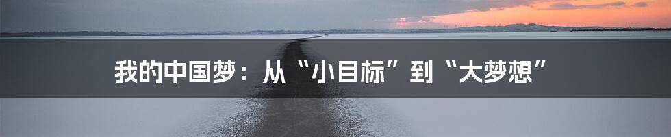 我的中国梦:从“小目标”到“大梦想”