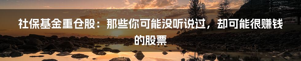 社保基金重仓股:那些你可能没听说过,却可能很赚钱的股票