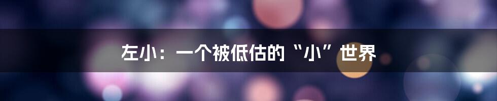 左小:一个被低估的“小”世界