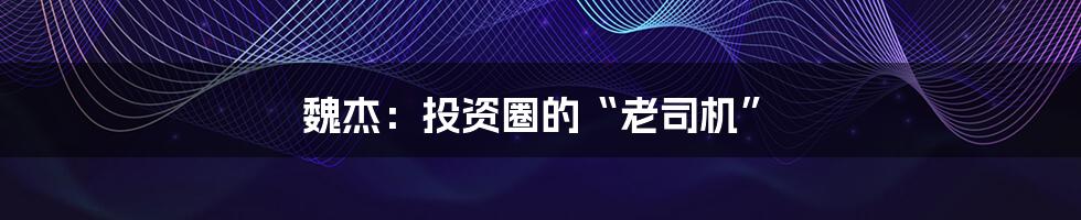 魏杰:投资圈的“老司机”