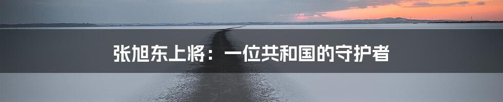 张旭东上将:一位共和国的守护者