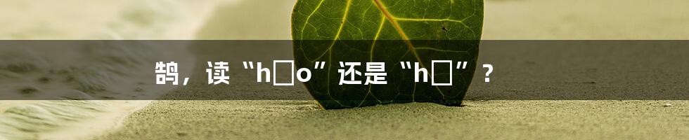 鹄，读“háo”还是“hú”？
