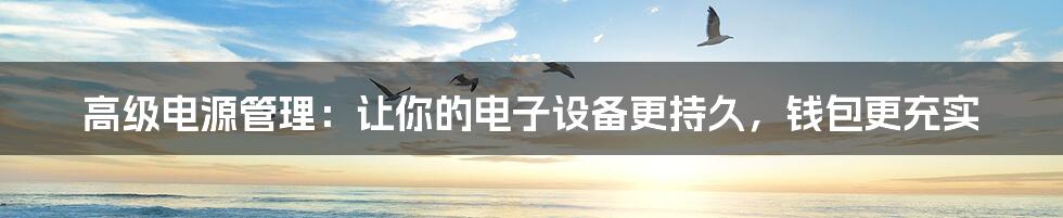 高级电源管理:让你的电子设备更持久,钱包更充实