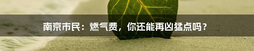 南京市民：燃气费，你还能再凶猛点吗？