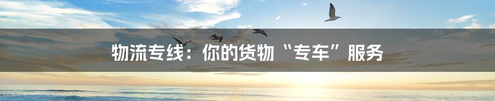 物流专线:你的货物“专车”服务
