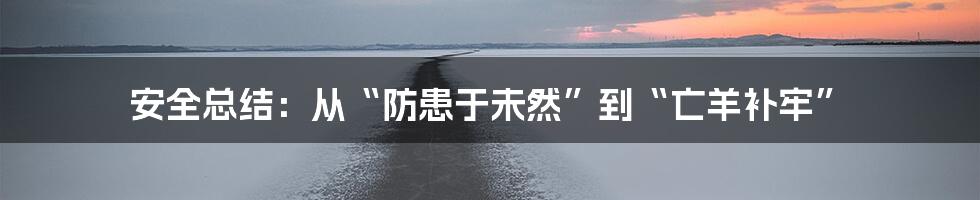 安全总结:从“防患于未然”到“亡羊补牢”