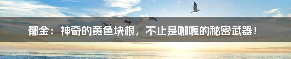 郁金：神奇的黄色块根，不止是咖喱的秘密武器！