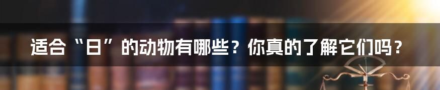 适合“日”的动物有哪些?你真的了解它们吗?