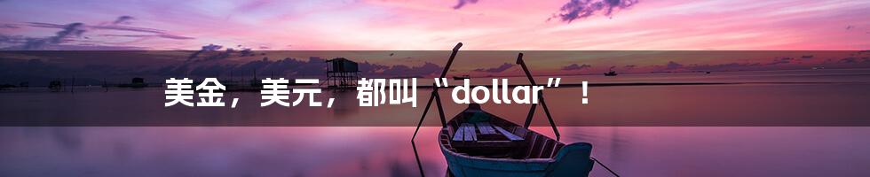 美金,美元,都叫“dollar”!