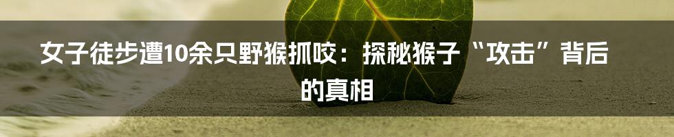 女子徒步遭10余只野猴抓咬:探秘猴子“攻击”背后的真相
