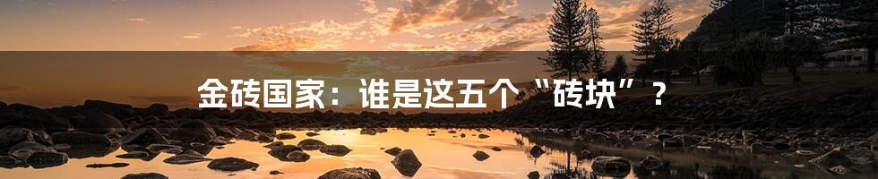 金砖国家:谁是这五个“砖块”?
