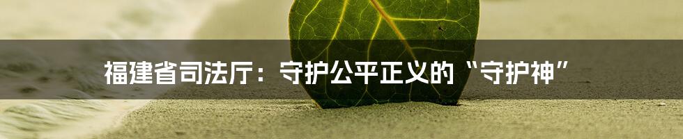 福建省司法厅：守护公平正义的“守护神”