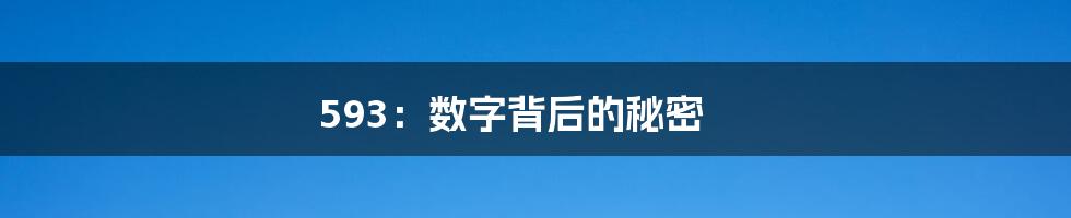 593：数字背后的秘密