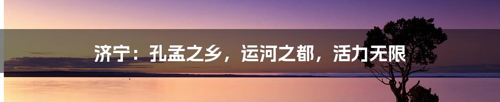 济宁:孔孟之乡,运河之都,活力无限