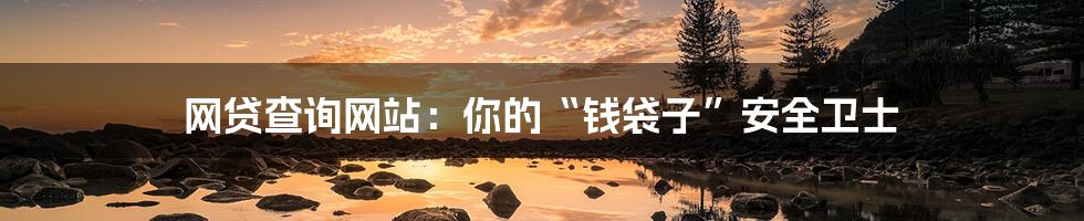 网贷查询网站：你的“钱袋子”安全卫士