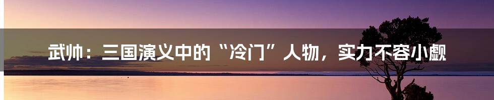 武帅:三国演义中的“冷门”人物,实力不容小觑