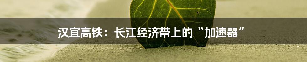 汉宜高铁:长江经济带上的“加速器”