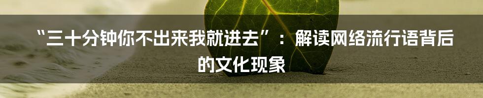 “三十分钟你不出来我就进去”：解读网络流行语背后的文化现象