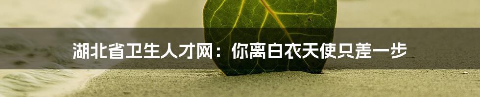 湖北省卫生人才网:你离白衣天使只差一步