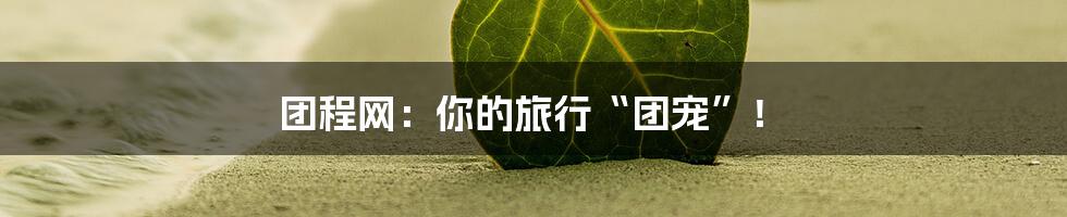 团程网：你的旅行“团宠”！