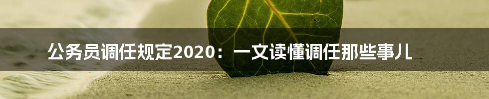 公务员调任规定2020:一文读懂调任那些事儿