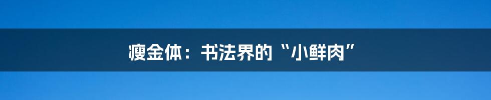 瘦金体:书法界的“小鲜肉”