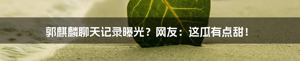 郭麒麟聊天记录曝光?网友:这瓜有点甜!