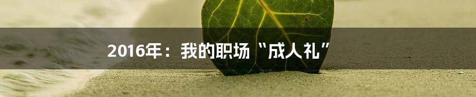 2016年:我的职场“成人礼”
