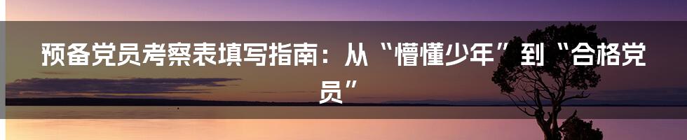 预备党员考察表填写指南:从“懵懂少年”到“合格党员”