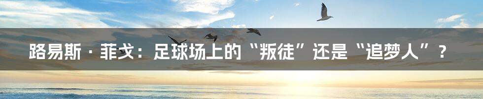 路易斯·菲戈:足球场上的“叛徒”还是“追梦人”?