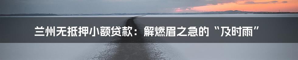 兰州无抵押小额贷款:解燃眉之急的“及时雨”