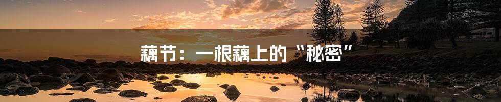 藕节:一根藕上的“秘密”