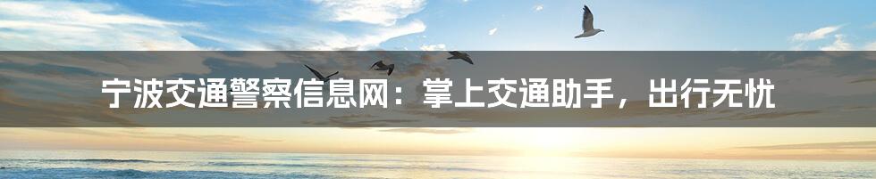 宁波交通警察信息网:掌上交通助手,出行无忧