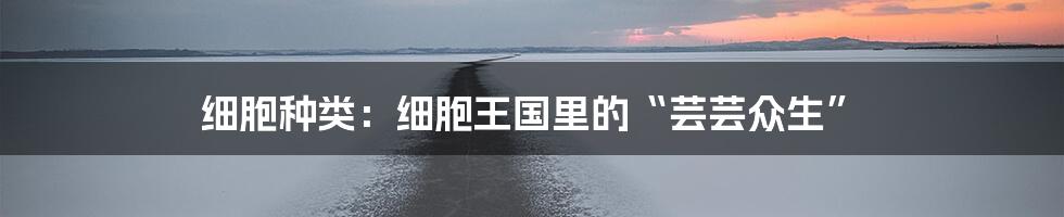 细胞种类:细胞王国里的“芸芸众生”