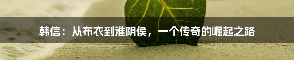 韩信:从布衣到淮阴侯,一个传奇的崛起之路
