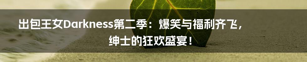 出包王女Darkness第二季:爆笑与福利齐飞,绅士的狂欢盛宴!